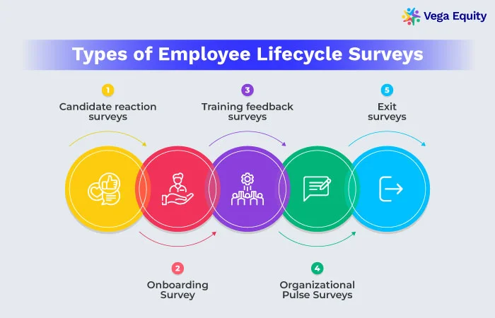 Types Of Employee Lifecycle Surveys